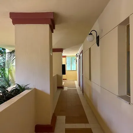 Apartment Estudio Mediterraneo 1 Min De La Playa *